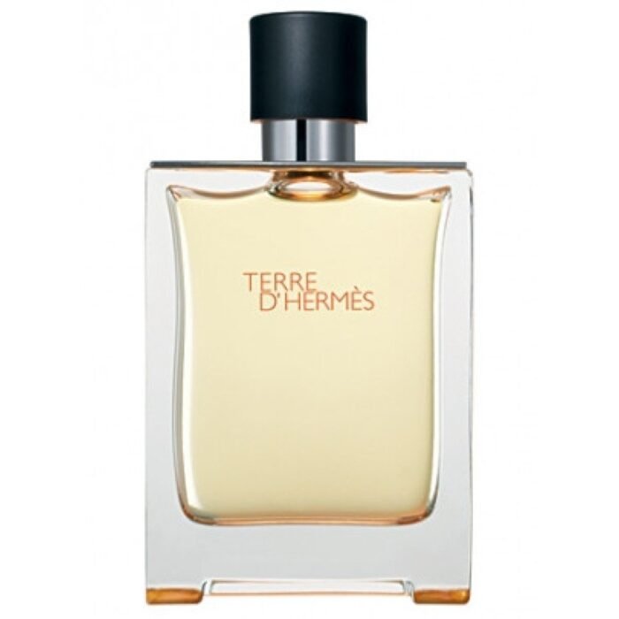Hermes Terre D`hermes Edp 100ml - мъжки тестер